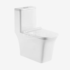 Combined Toilet (Complete set)