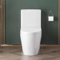 Alternative view of WC-6224 Complete set [P trap]