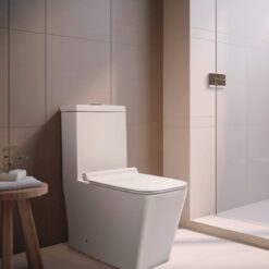 Toilet 501 Complete set [P trap]