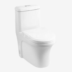 WC-313 Complete set [P trap]