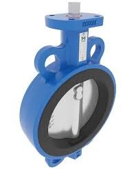 Alternative view of Butterfly Valve